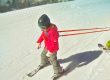 Skiing or Snowboarding?